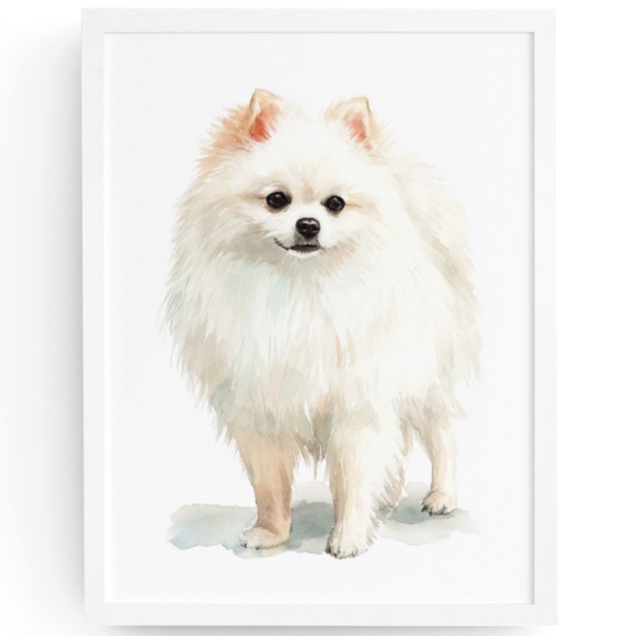 Watercolor Pomeranian Dog Portrait Art Print – Unframed Fine Art Poster - Picture 1 of 5
